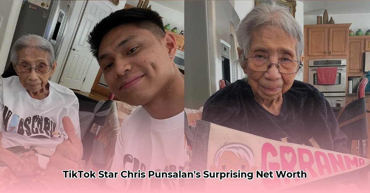 chris punsalan net worth